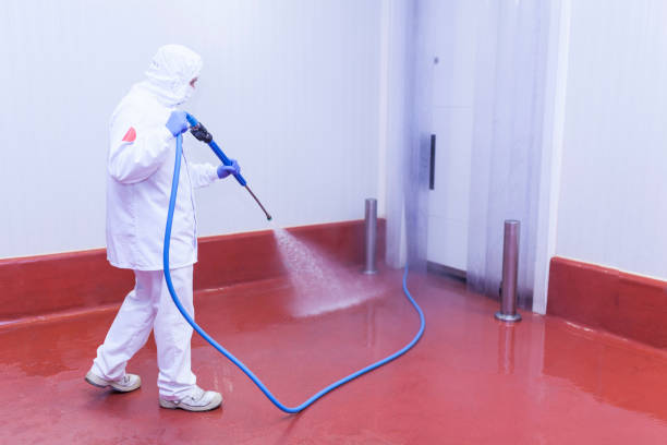 Best Roof Washing  in Contoocook, NH